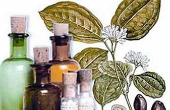 Vitae Farmácia De Homeopatia - Foto 1