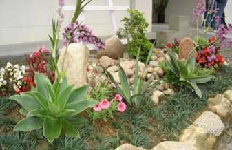 Fenix Jardinagem - Foto 1