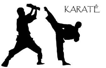Karatedoshotokanbrasil - Foto 1