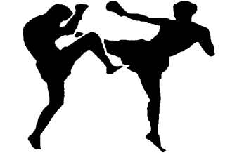 Kobra Fight Team - Foto 1