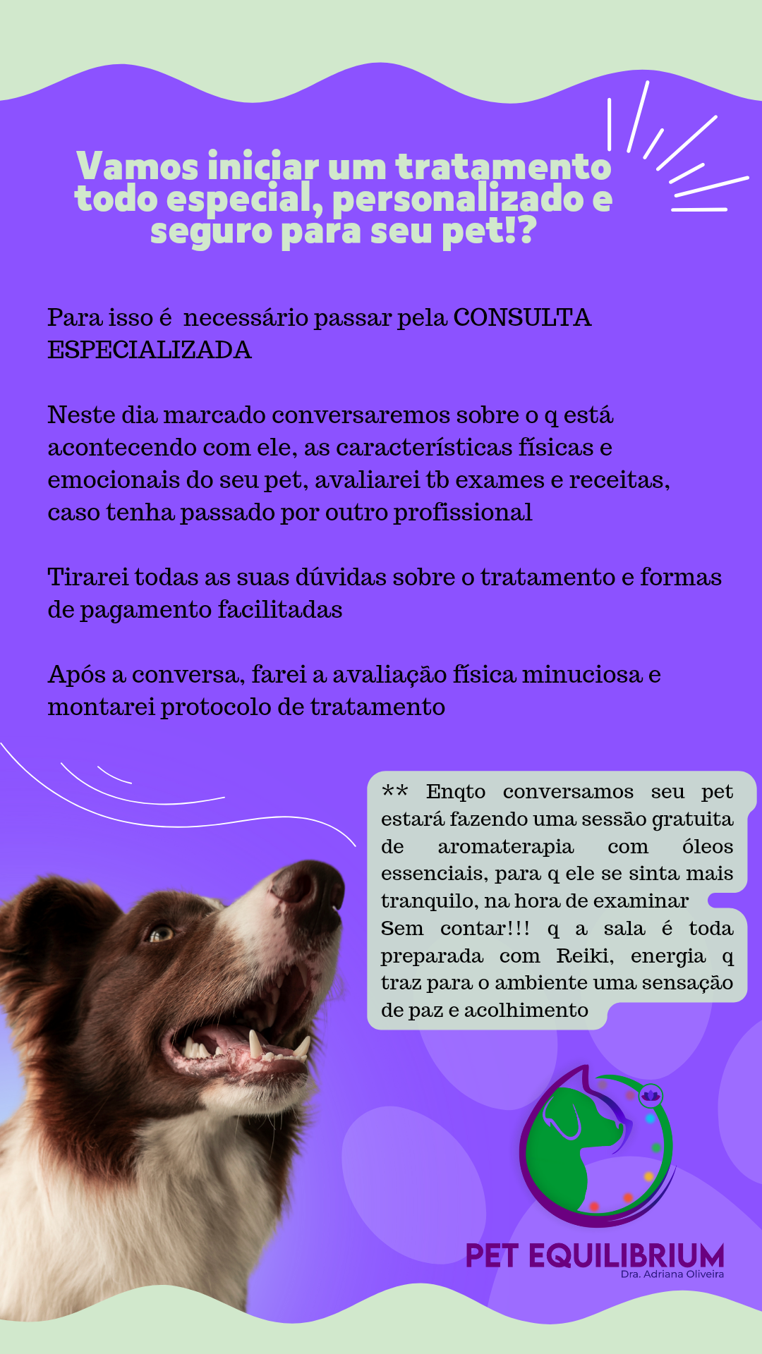 Pet Equilibrium Drª Adriana - Foto 2
